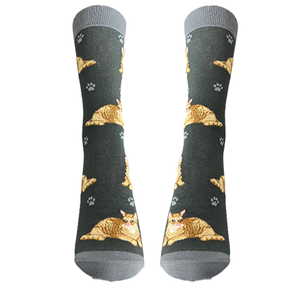 Strumpor – E&S Pets – Orange Tabby Cat – 36–40