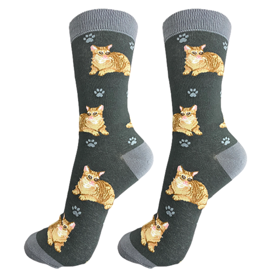Strumpor – E&S Pets – Orange Tabby Cat – 36–40